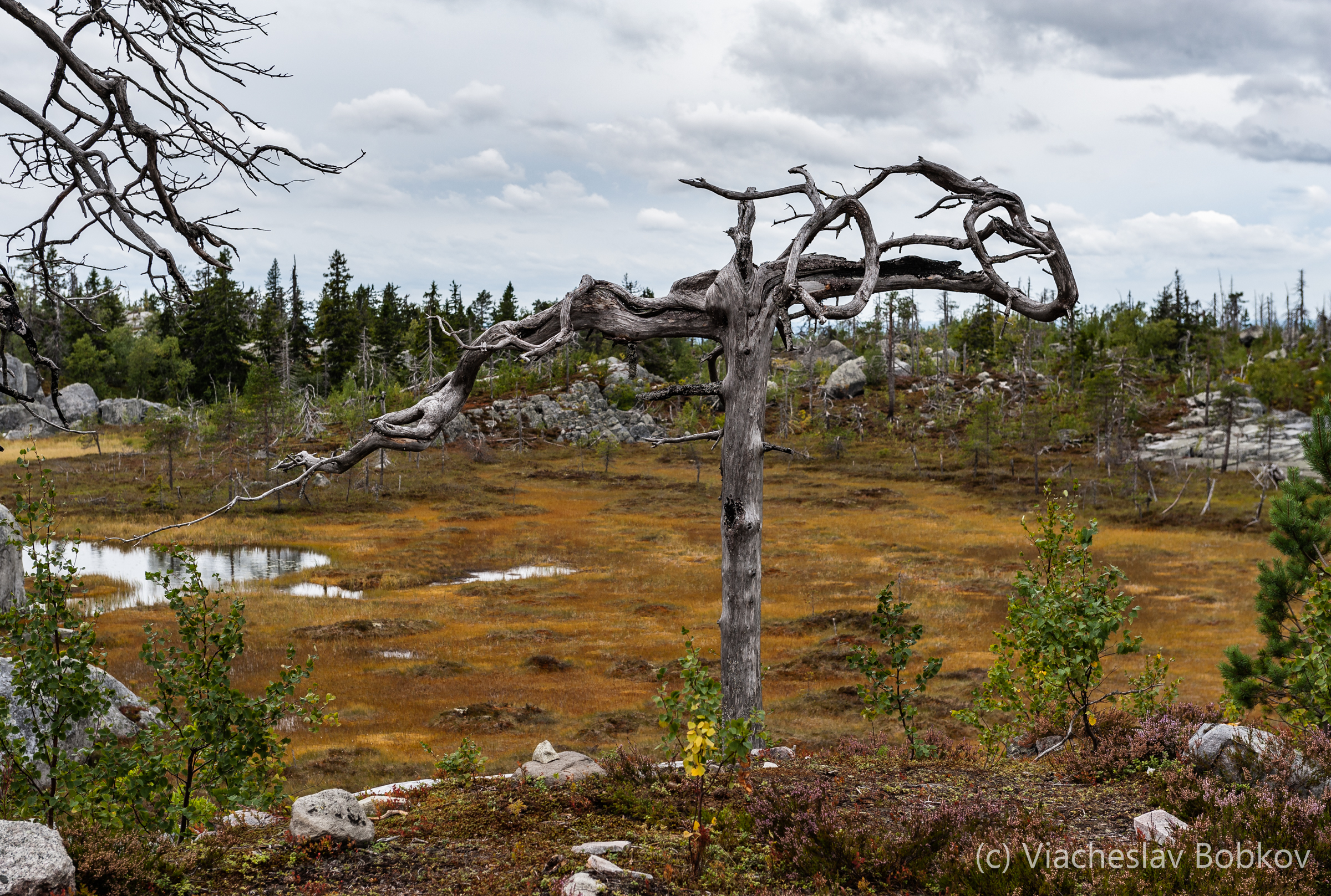 Воттоваара