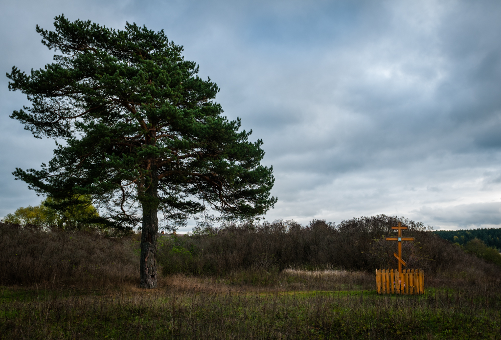 Вверх по Волге