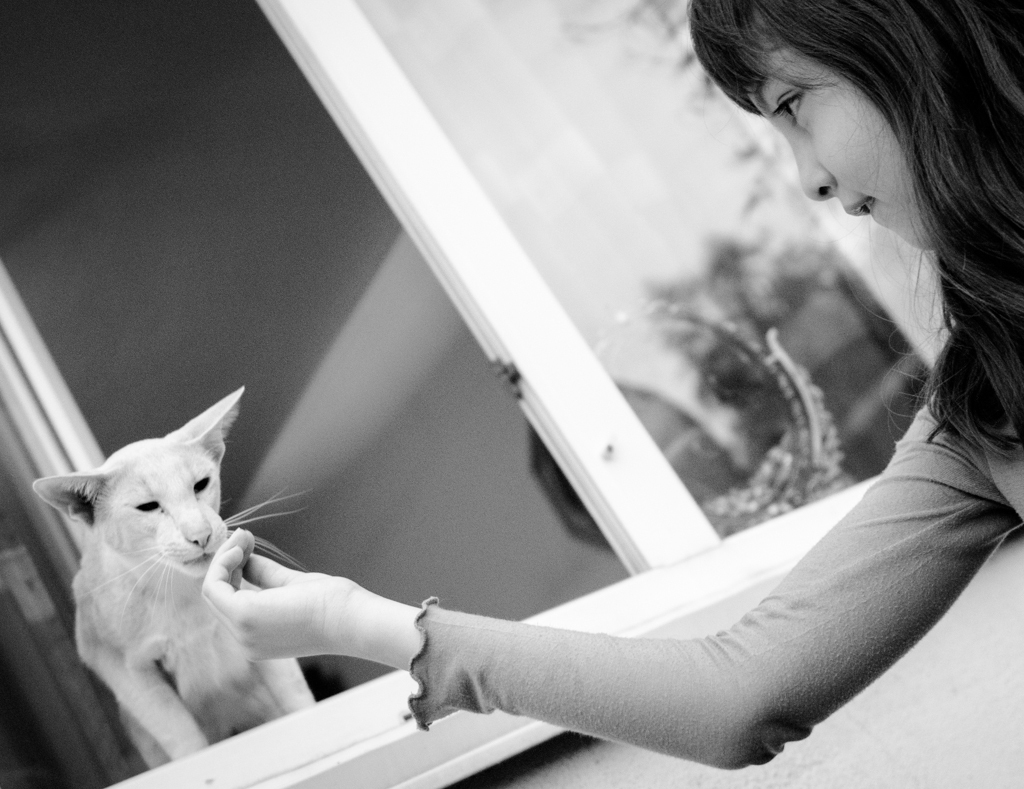 Девочка и кот