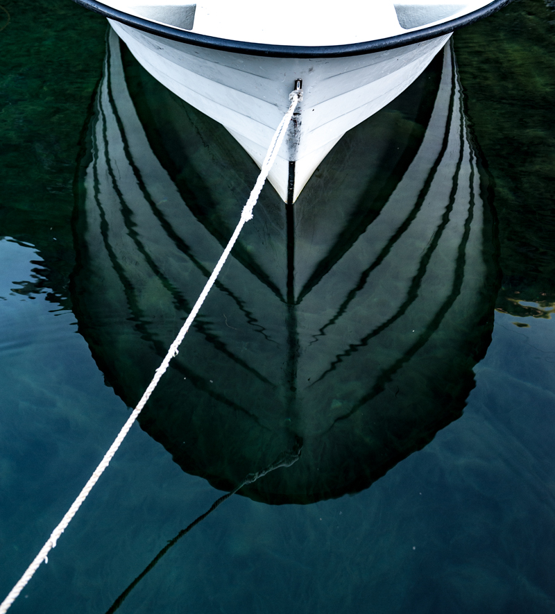 Гейрангерская зебра