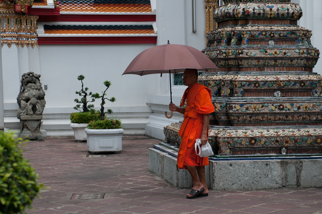 Бангкок. Обитатели