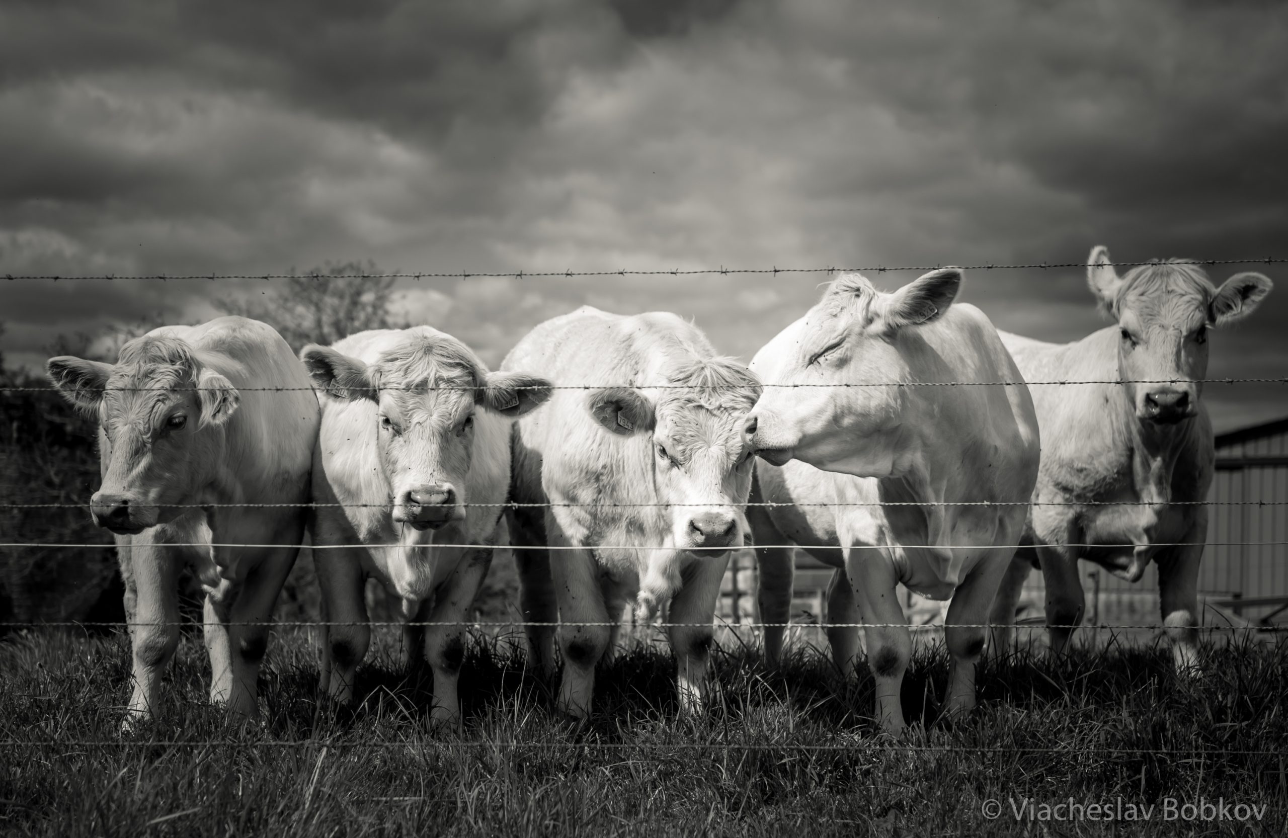 Долина Луары. Сельская Франция