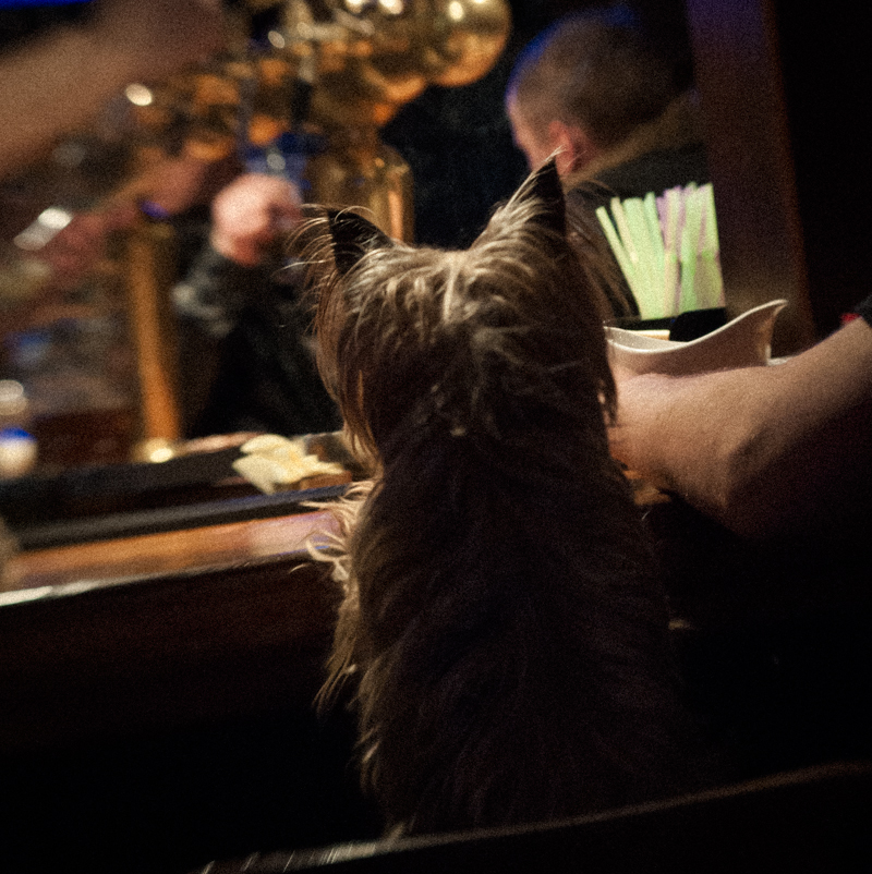 Завсегдатай паба