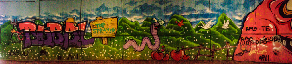 Брага. Граффити